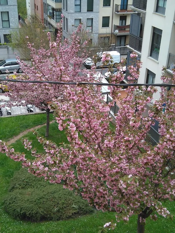 Daire Apartamento Zurbaran Irun İspanya